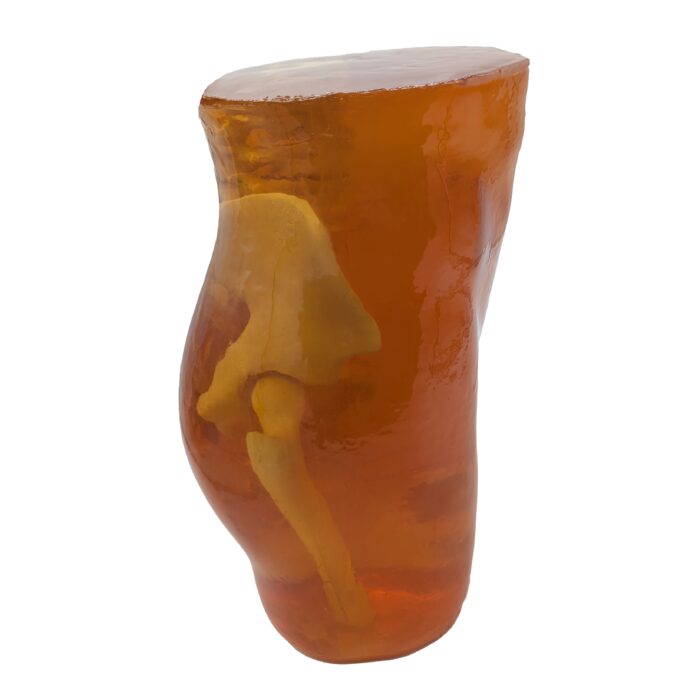 Pelvis Phantom for X-Ray, CT, MRI, Ultrasound