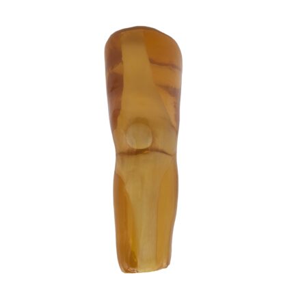 Knee Phantom for X-Ray, CT, US, MRI