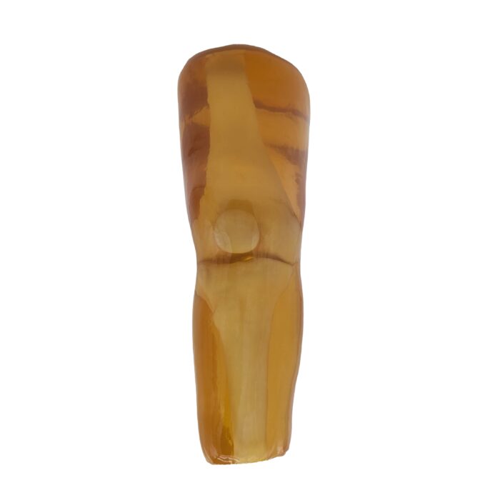 Knee Phantom for X-Ray, CT, US, MRI