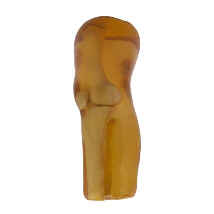 Knee Phantom for X-Ray, CT, US, MRI