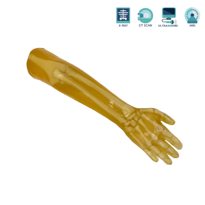 X-Ray Positioning arm training