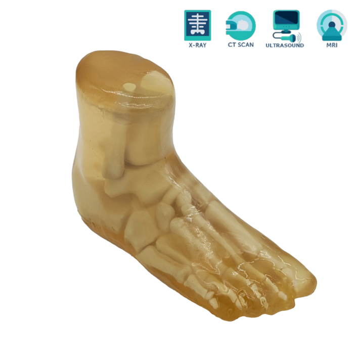 Foot X-Ray training