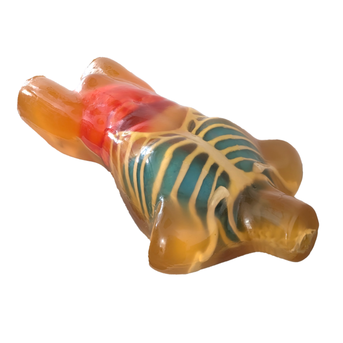 Adult Torso Phantom for X-Ray CT MRI