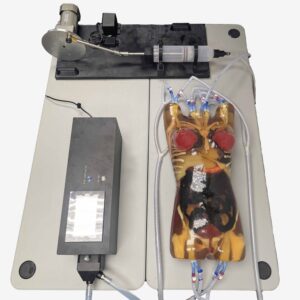 female torso phantom x-ray ct MRI imaging simulator breast mammogram