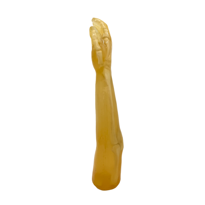 X-Ray training arm phantom