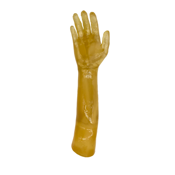 Radiology training arm phantom